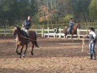 DSCF9741.webp