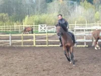 DSCF9748.webp