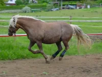 DSCN0067.webp
