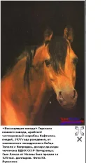 нафт.webp