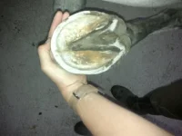 2012-10-11-689 - copia.webp