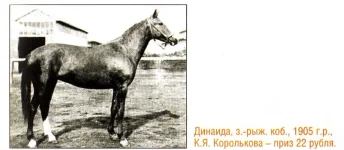 Динаида, 1905. Донская..webp