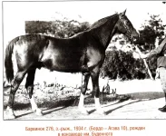 Барвинок 276 (Бордо-Агава 10) 1934 г. Донской..webp
