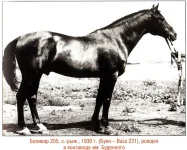 Боливар 205 (Буян-Ваза 231) 1930 г. Донсокй..webp
