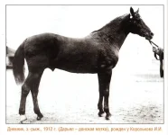 Дневник(Дарьял-донская матка) 1912 г. Донской..webp