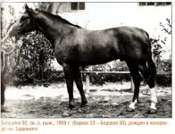 Бобруйск 92 (Баркас 23 - Бедовая 50) 1959 г.2.webp