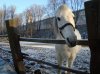 DSC02445.JPG