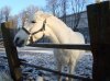 DSC02444.JPG