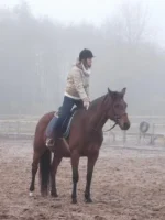 DSCF9913.webp