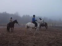 DSCF9914.webp