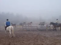 DSCF9940.webp