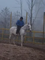 DSCF9952.webp