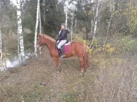 M_L7HS7Xf4E.webp