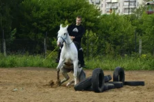_DSC8787.webp