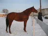 9 месяцев спустя.webp