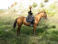 осень 2012.webp