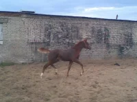 x_d53a8a16.webp