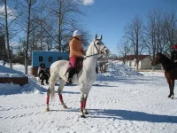y_6ad297e1.webp
