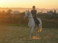 y_1c916978.webp