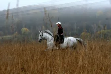 IMG_0051_1.webp
