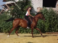 y_b4562ef1.webp