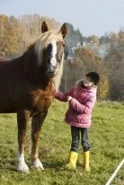 P82_0202X.webp