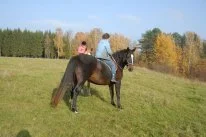 P82_0225.webp