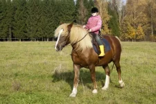 P82_0206_1.webp