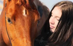 y_8a29d763.webp