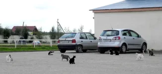 DSCN0025.webp