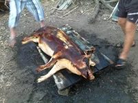olOyVomhgWY.webp