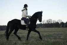 DDhImrDD5CA.webp