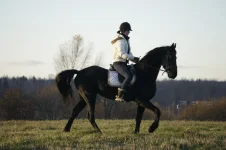 GyKIV2rcmdc.webp