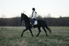 V2Pqwgsz12E.webp