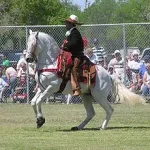 220px-AztecaHorse.webp