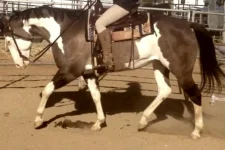Image 3.webp