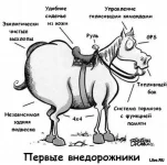 gcEO10YlwSE.webp