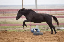 20121021_047 copy.webp