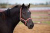 20120923_038 copy.jpg
