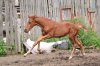DSC_1596.JPG