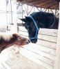 IMG_20181024_232506_238.jpg