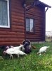 20160727_133607.jpg 20160727_133607.jpg