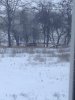 IMG-20181113-WA0005.jpg