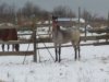 IMG_20181204_123918.jpg