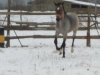 IMG_20181204_123908.jpg