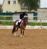 IMG_0731.JPG