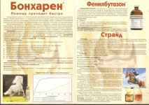 Бонхарен, страйд, фенилбутазон реклама (2).webp