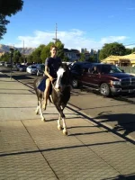 Image.webp