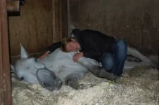 z_96e5678f_.webp