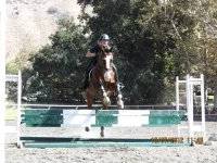 jump 1.webp